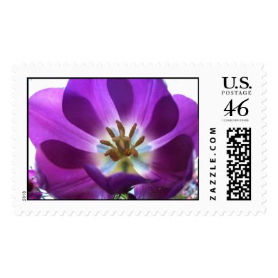 Purple Tulip Postage