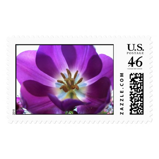 Purple Tulip Postage