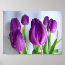 Purple Tulip Poster