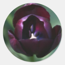 Purple Tulip Sticker Seal