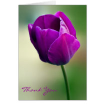 Purple Tulip Thank You Card