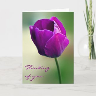 Purple Tulip Thinking of you Card zazzle_card
