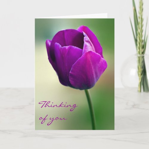 Purple Tulip Thinking of you Card