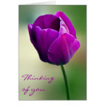 Purple Tulip Thinking of you Card
