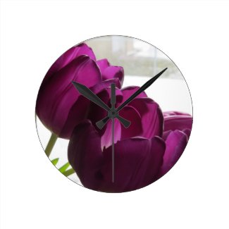 Purple Tulips