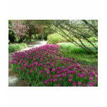 Purple Tulips (3033) Ladies Petite Black T-Shirt
