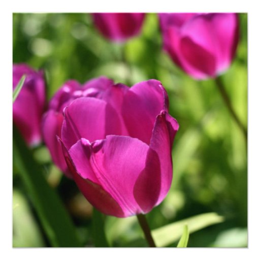 Purple Tulips 80th Birthday Party Invitations