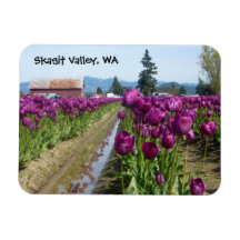 Purple Tulips & Barn Flexible Magnets