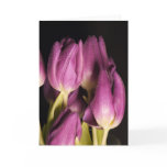 Purple Tulips  Card cards