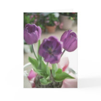 Lila Tulpen karten by dmtena1 Lila Tulpen karten