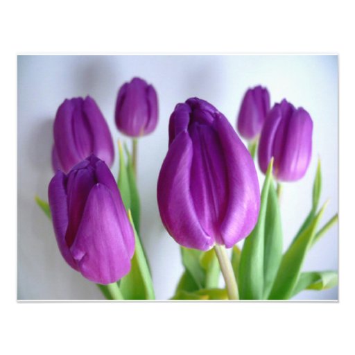 Purple Tulips Custom Invite