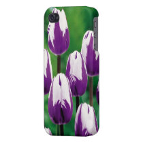 Purple Tulips iPhone 4/4S Case