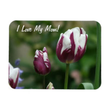 Purple Tulips Mom Rectangle Magnet