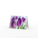 Purple Tulips Mother's Day Card zazzle_card
