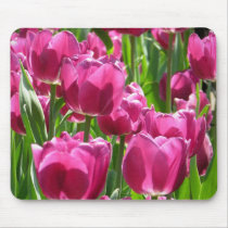 Purple Tulips mousepads