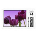 Purple Tulips Postage Stamp