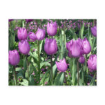 purple tulips post card