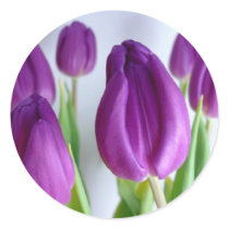 Purple Tulips Round Sticker