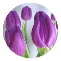 Purple Tulips stickers by Regella Purple Tulips stickers