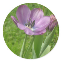 Purple Tulips Stickers by Country1969 Purple Tulips Stickers