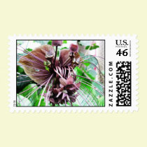 Purple Twist postage
