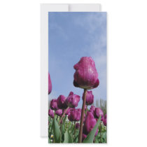 Purple Up High rack cards by sharonsphotography Purple Up High rack cards