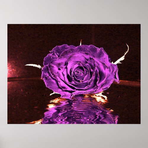 Purple velvet Rose print