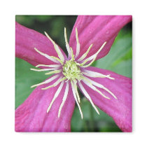 Purple Vine Flower magnets by princessklb07 Purple Vine Flower magnets