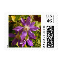 Purple Vine Flowers postage by princessklb07 Purple Vine Flowers postage