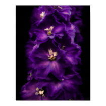 Purple Vintage Delphinium posters