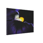 Purple Viola Macro Abstract Canvas Print