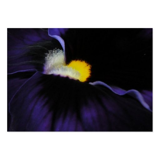 Purple Viola Macro ATC 2 Business Card