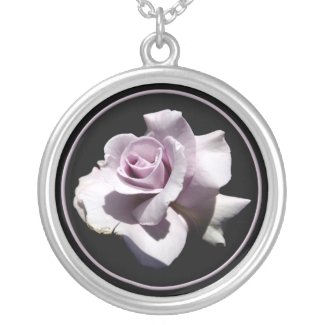 Purple - Violet Rose