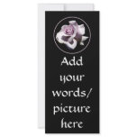 Purple - Violet Rose Custom Rack Card