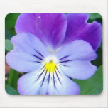 Purple Violet-Upclose Mousepads