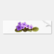 purple violets - customizable bumper stickers