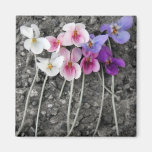 Purple Violets Refrigerator Magnet
