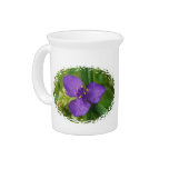 Purple Virginia Spiderwort Flower pitcher
