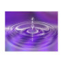 Purple Water Drop Post Cards