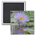 Purple Water Flower magnet