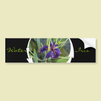 Purple Water Iris Bumper Sticker bumper stickers