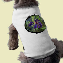 Purple Water Iris pet clothing