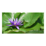 Purple Waterlily Photo Card Template