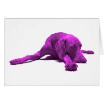 Purple Weimaraner cards
