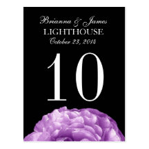 Purple White Black Rose  Wedding Table Number Card Post Card
