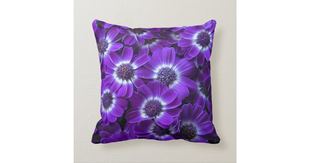 Purple White Cinerarias Throw Pillow Zazzle