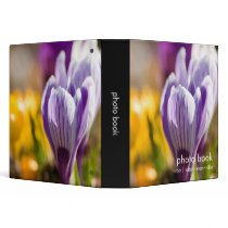 Purple & White Crocuses DSC0697 binders