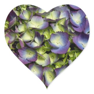 Purple & White Hydrangeas sticker
