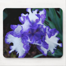 Purple & White Mousepad