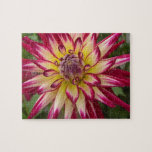 Purple white yellow Dahlia flower Puzzle